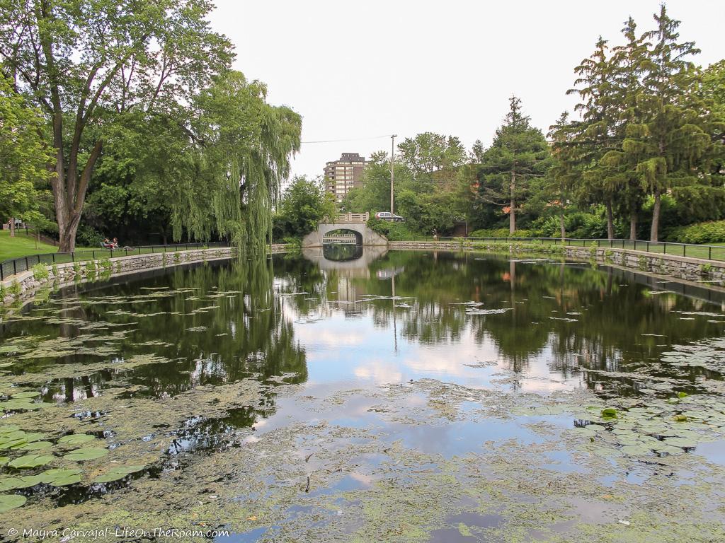A pond surrounded by walkways and trees