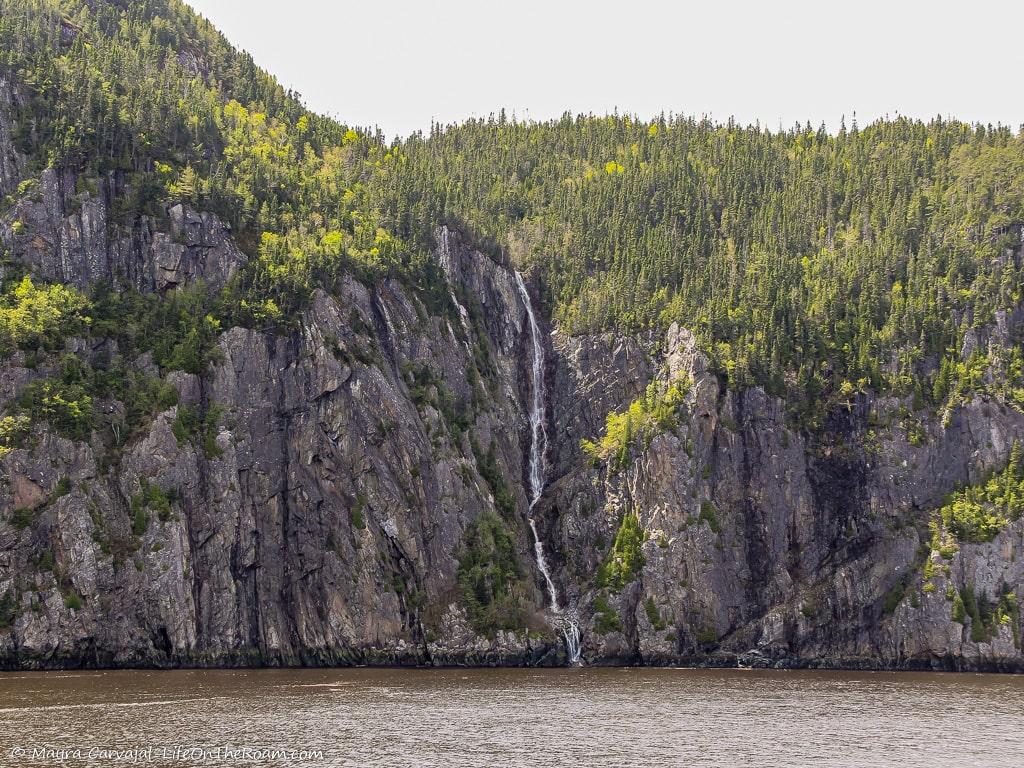 View of fjords with pine trees and a waterfall