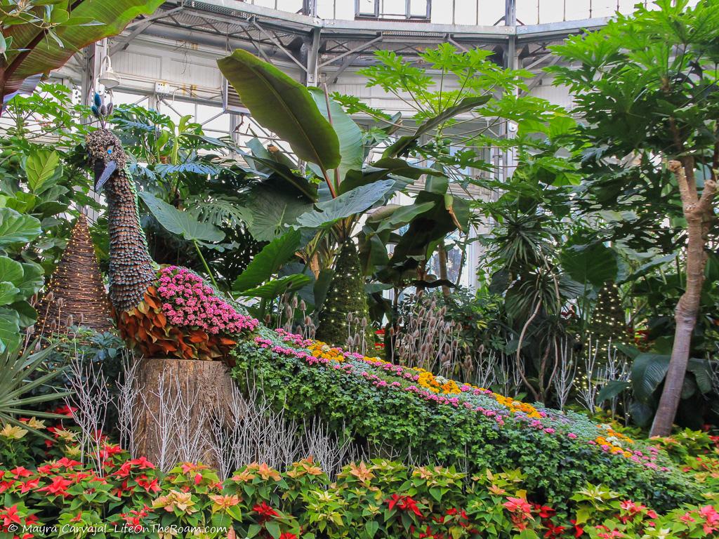 A floral arrangement in a greenhouse