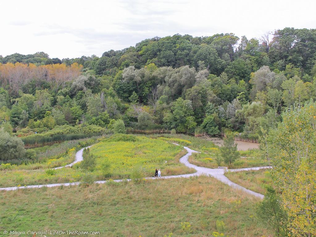 A high view of trails on an urban forest