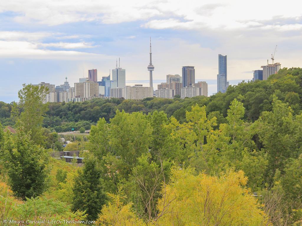 A view of a city skyline among trees