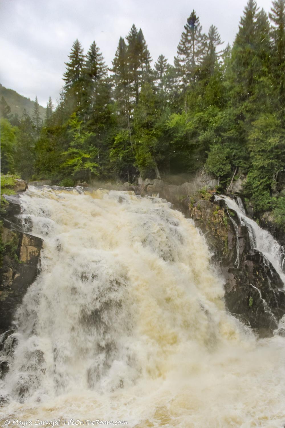 A powerful waterfall in a forest