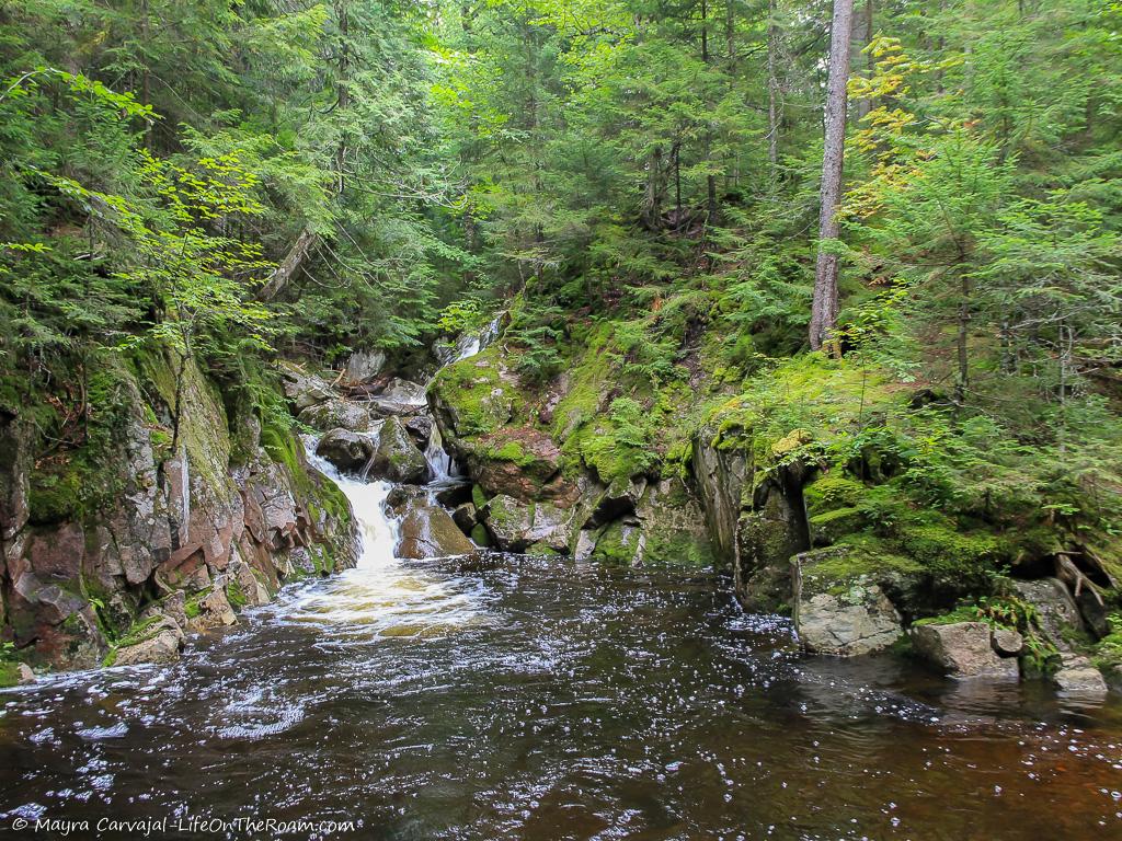 A small cascade surrounded by trees