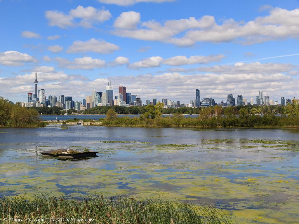 View of a city across the water from a park