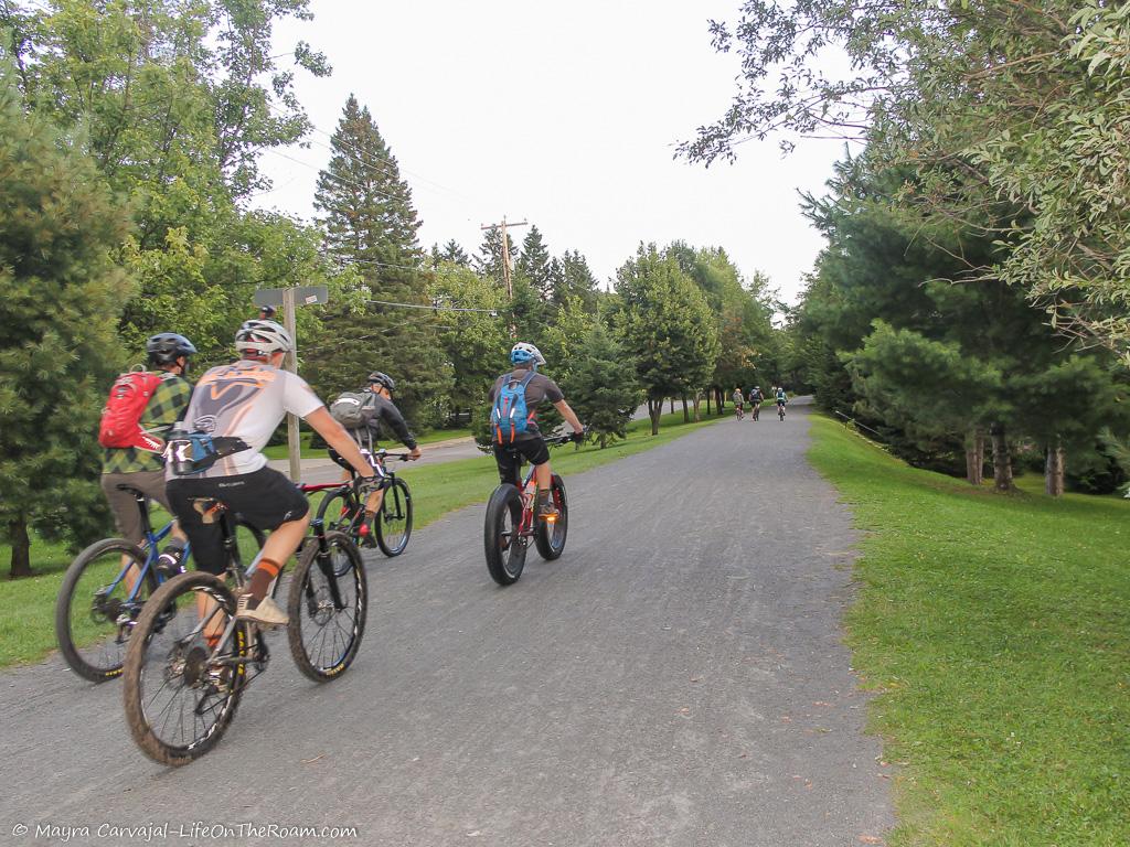 Cyclist riding on a trail