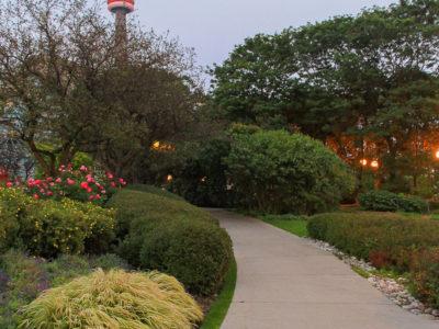 A winding path in an urban garden