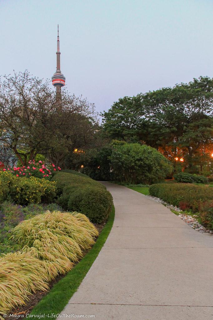 A winding path in an urban garden