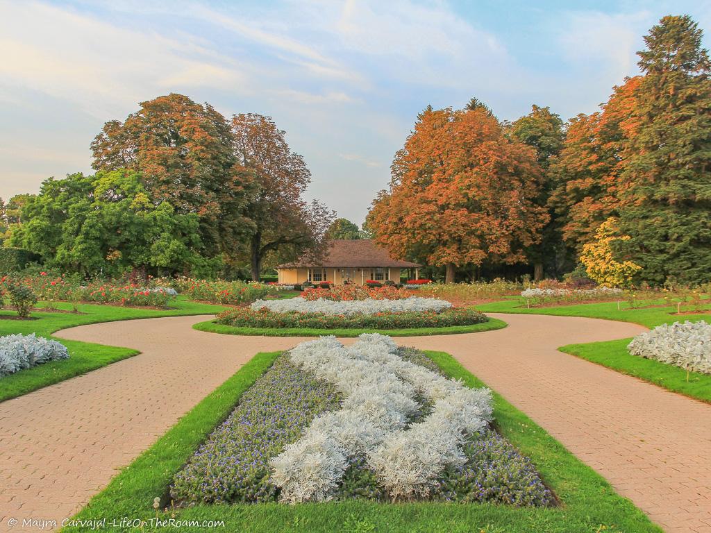 A formal garden with roses