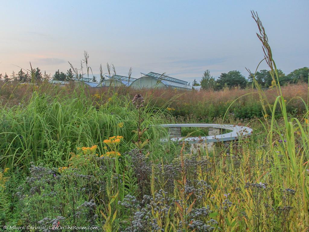 A prairie garden