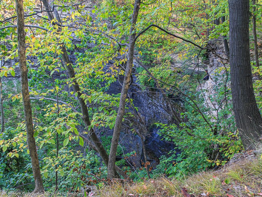 View of a gorge from a trail