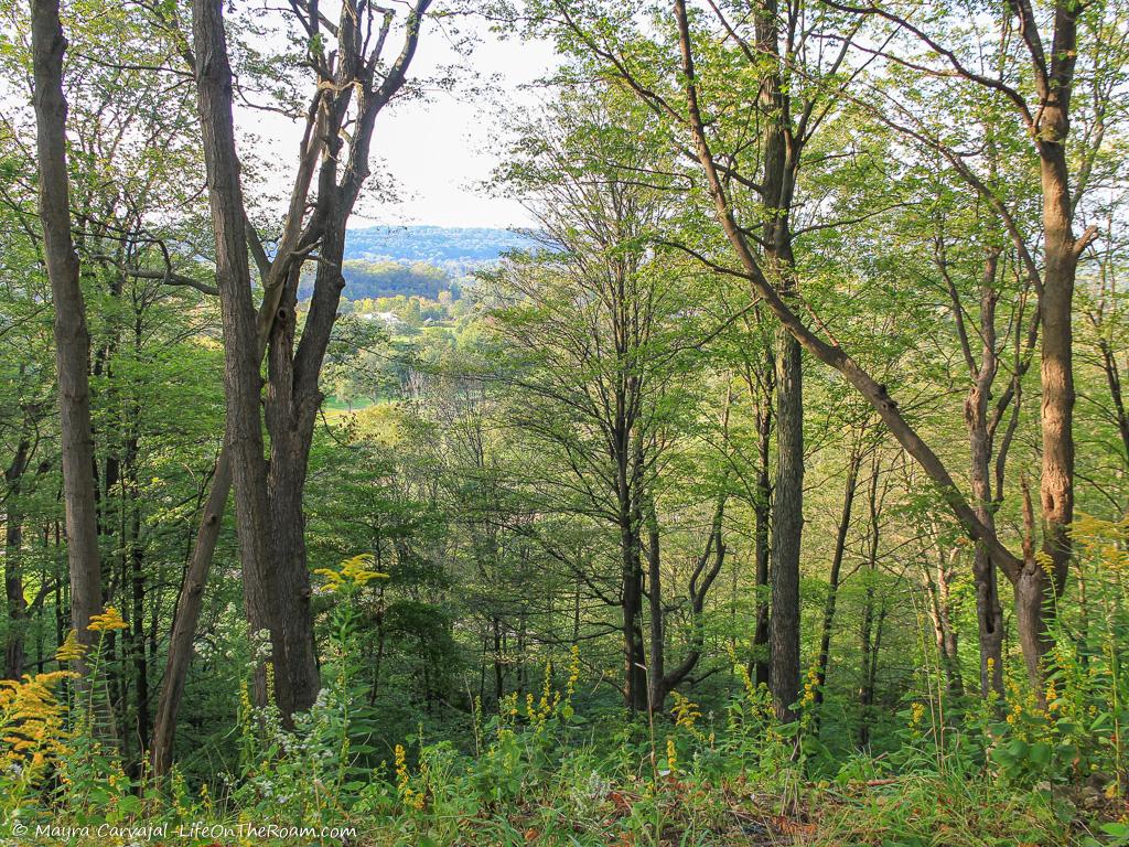 Elevated view of mountains from a trail