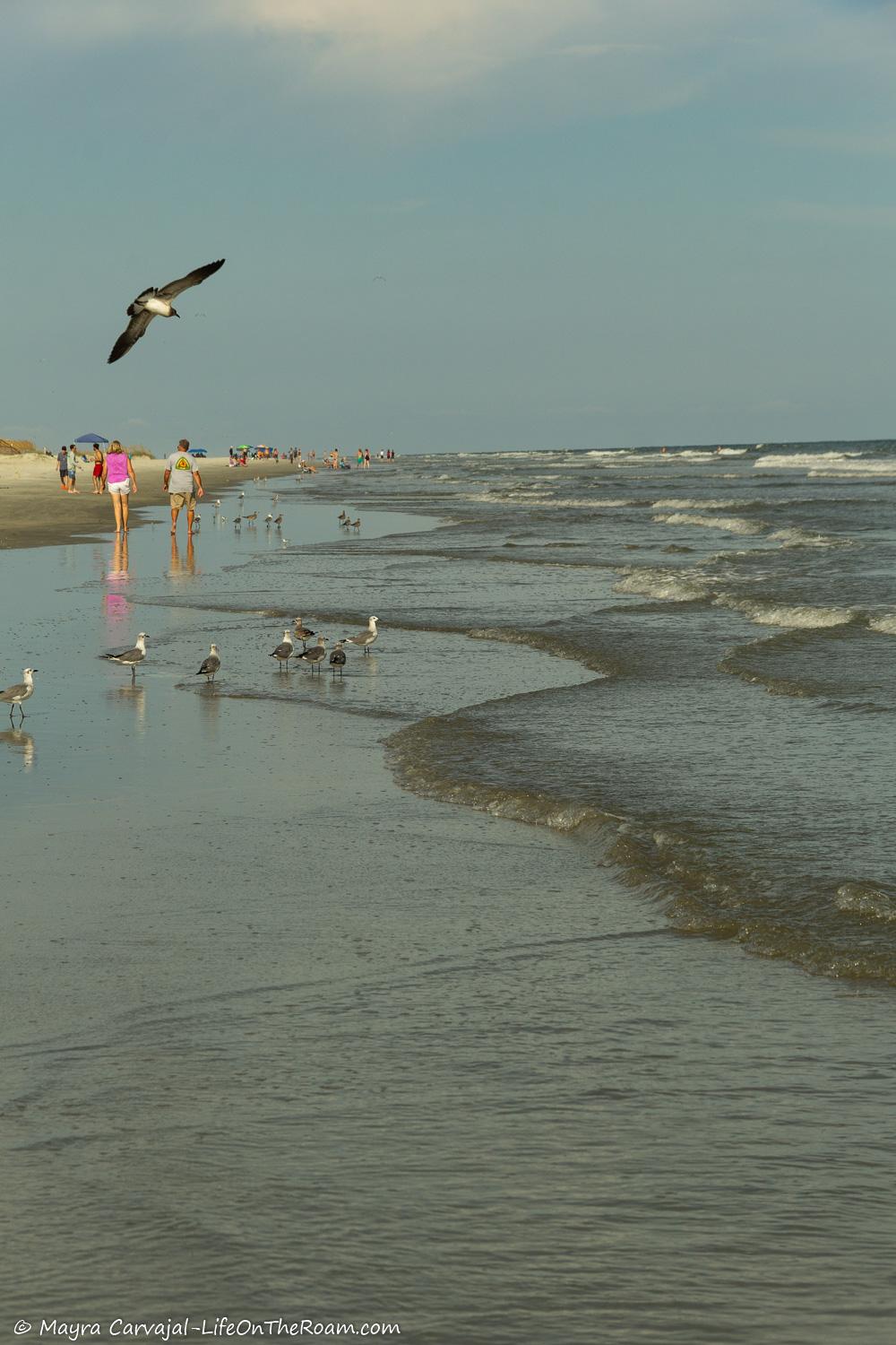 A public beach with sand