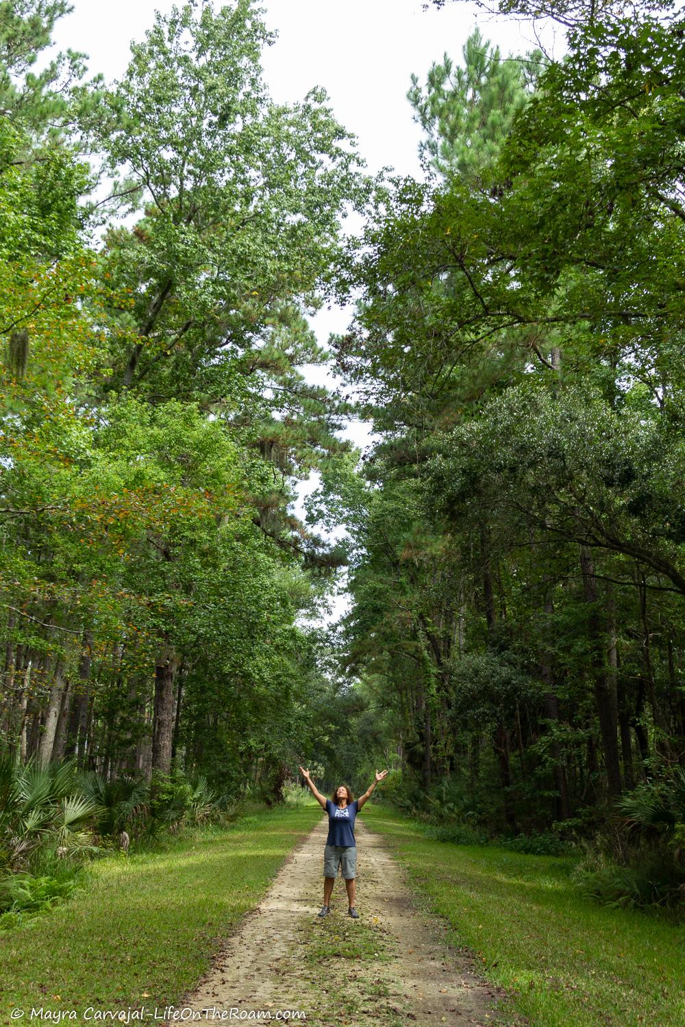 A trail that goes through a forest