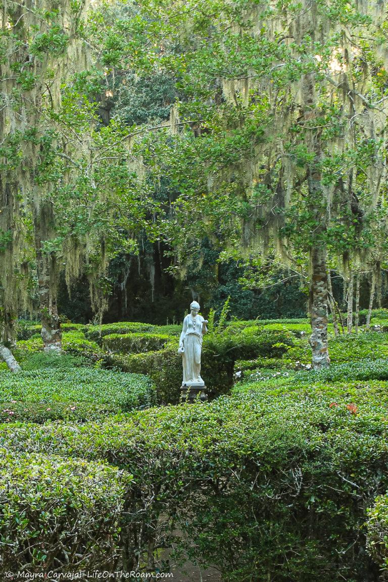 How Magnolia Plantation In Charleston, SC Became One Of The Most ...