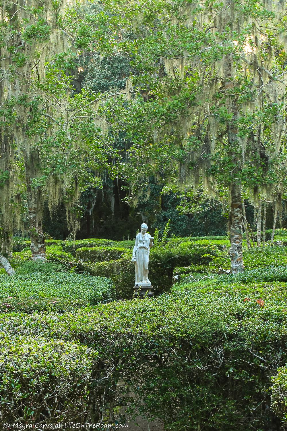 A maze made of hedges with a statue in the centre