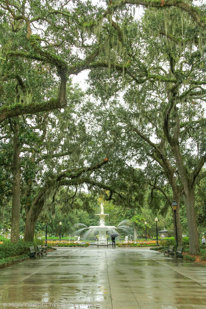 An urban park with large trees and a fountain