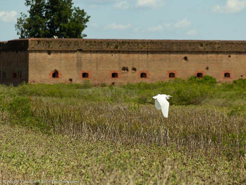 A bird flying in front of a historic fort