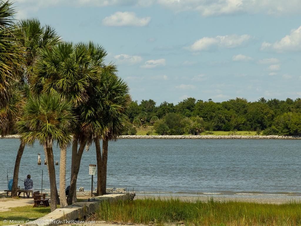 A river shore from the distance