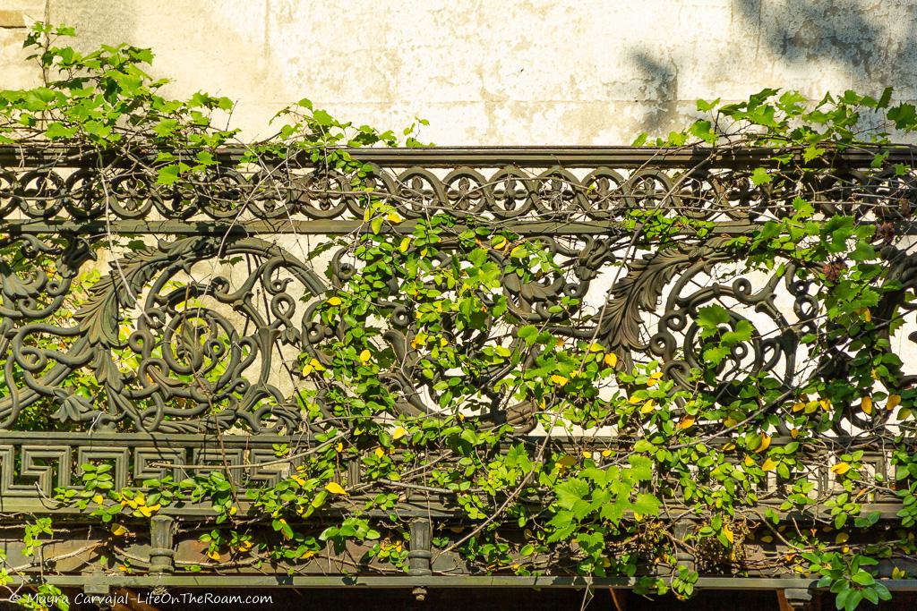 An elaborate wrought iron balustrade