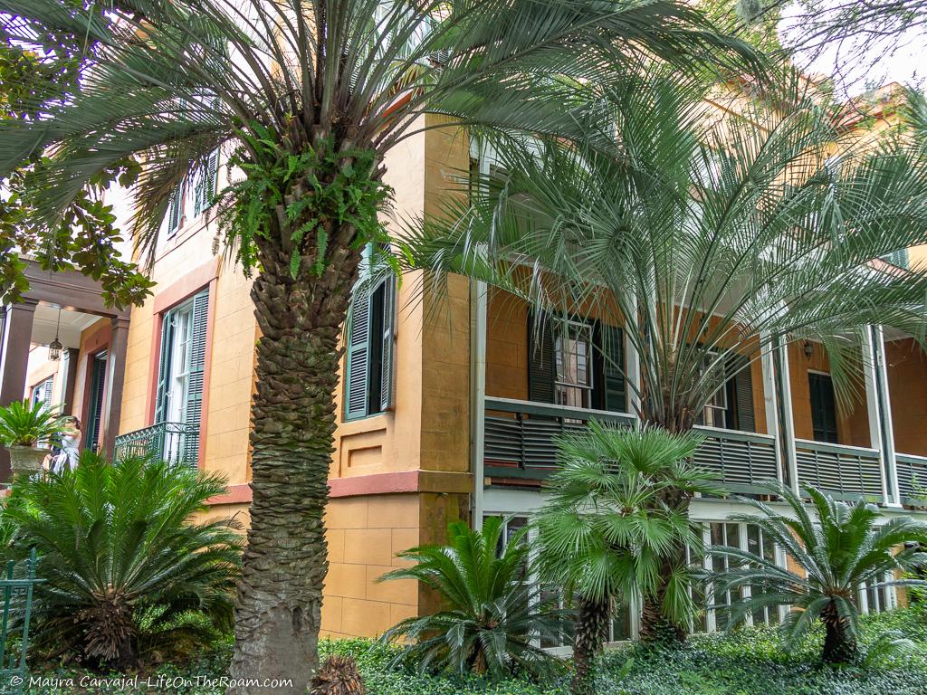 A house with porches in a tropical setting