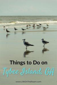 6 Things to Do in Your Adventure to Tybee Island, Savannah's Beach