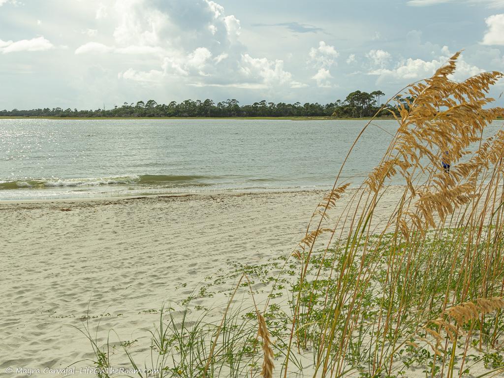 A sandy beach