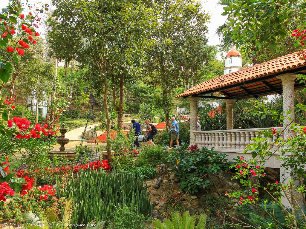 A garden with a bridge