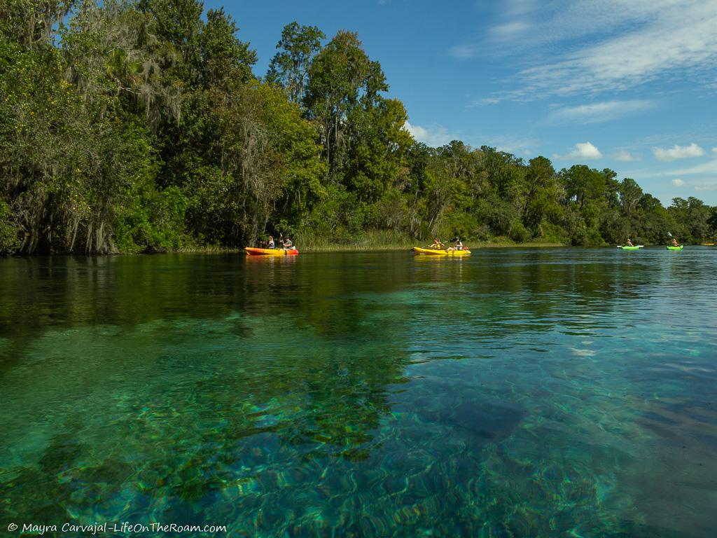 Kayakers on a river with clear water