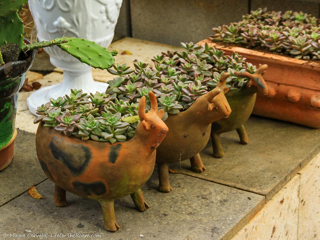 Small planters in form of animals