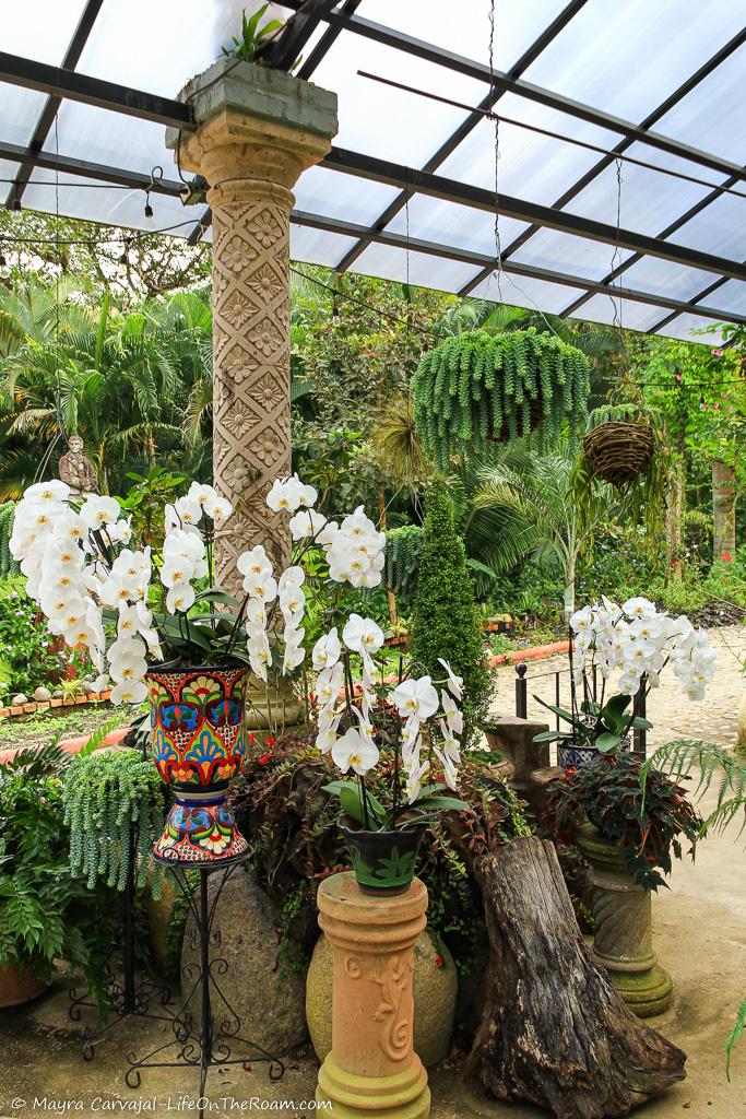 A display in a garden with white orchids