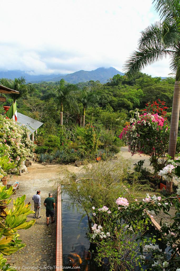 View of a garden and mountains