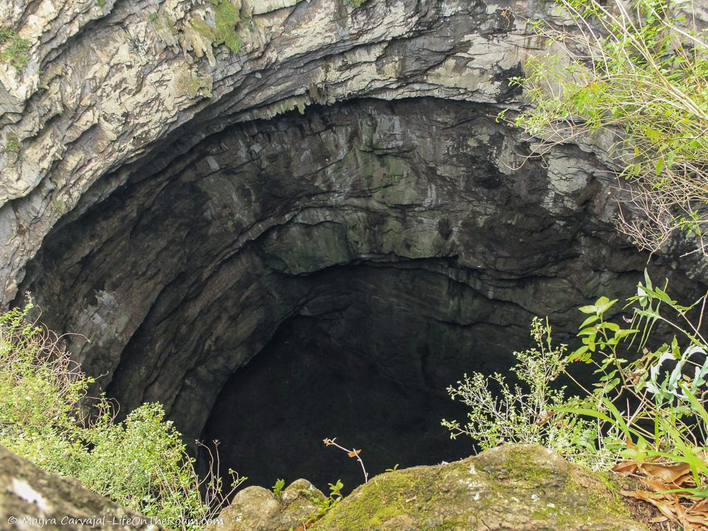 A partial look inside the mouth of a pit cave