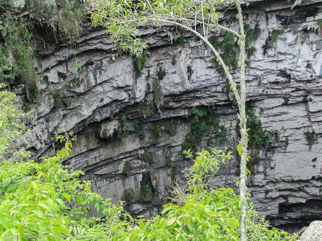 The mouth of a pit cave