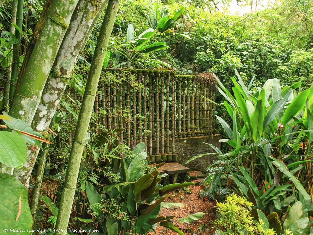 Thin concrete columns behind a bench surrounded by thick vegetation