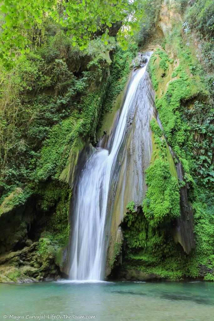 A horsetail waterfall in a forest