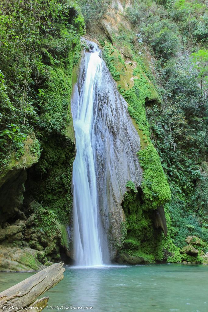 A horsetail waterfall in a forest