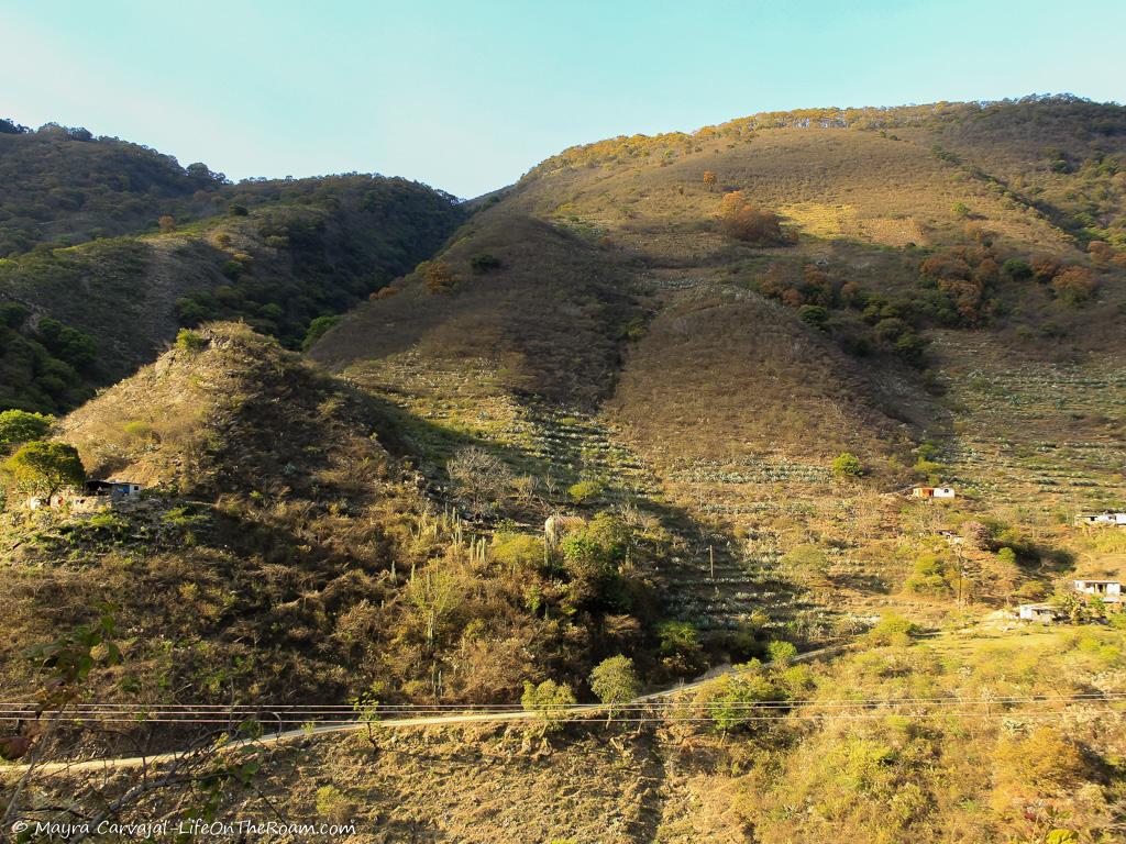 A view of a mountain range