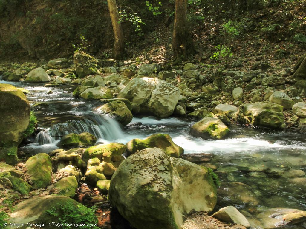 A creek flowing through big rocks in a forest