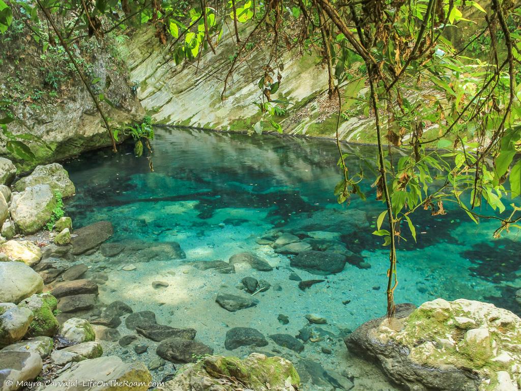 A turquoise blue shallow pond in a forest