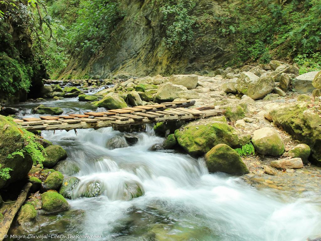 A creek in a forest with wood slats crossing