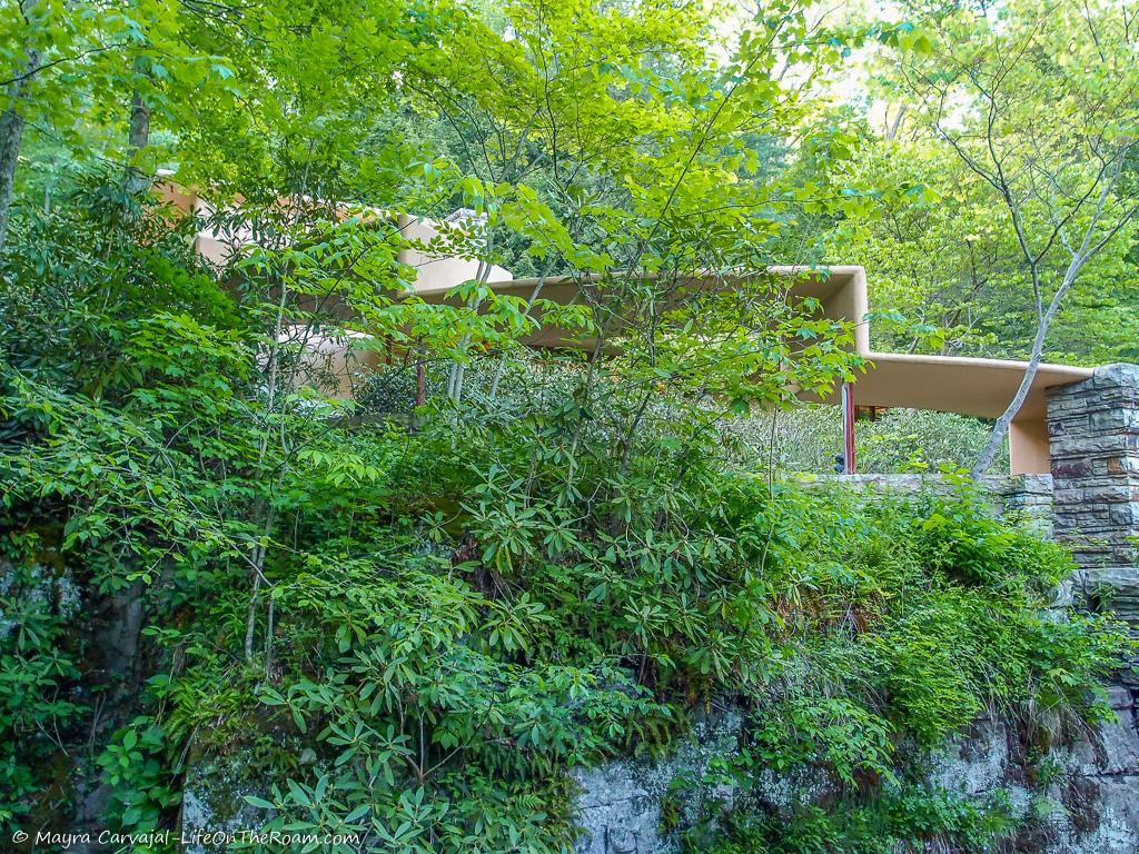 A seamless cascading roof in a forest