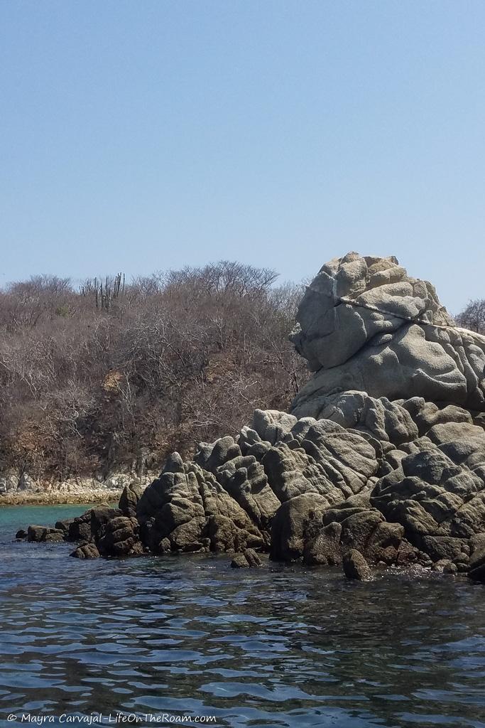 A rock in the ocean with the shape of a lion