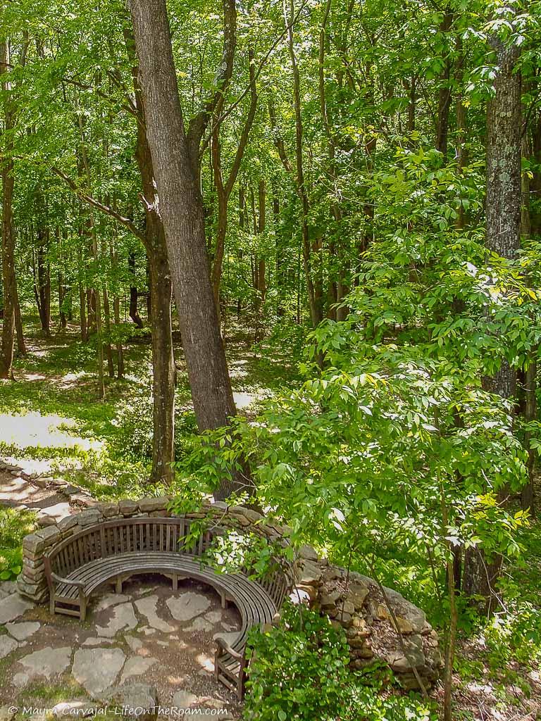 A circular bench in a forest