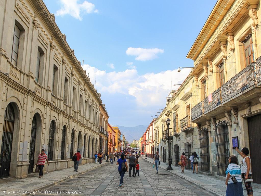 A wide pedestrian street with historic buildings