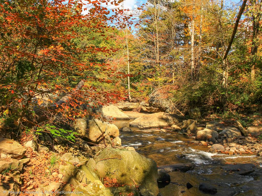 A trail next to a creek