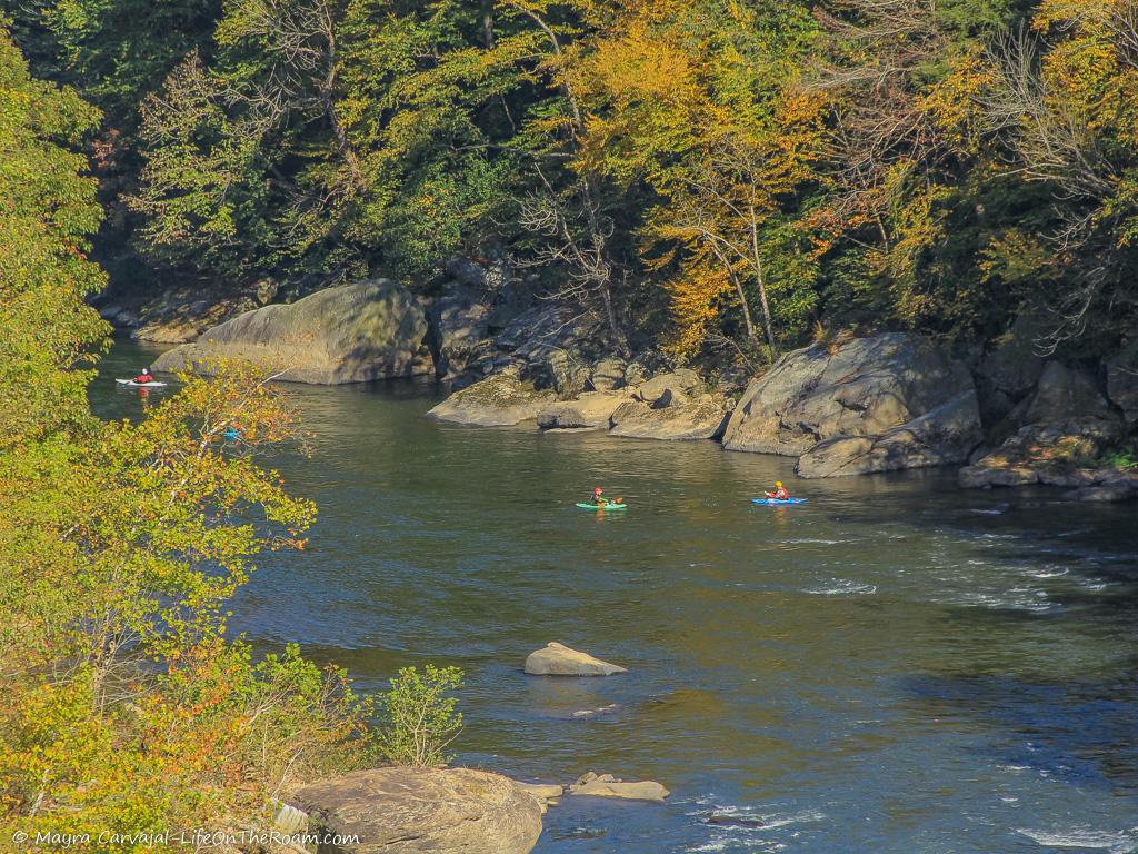 Kayakers on a river