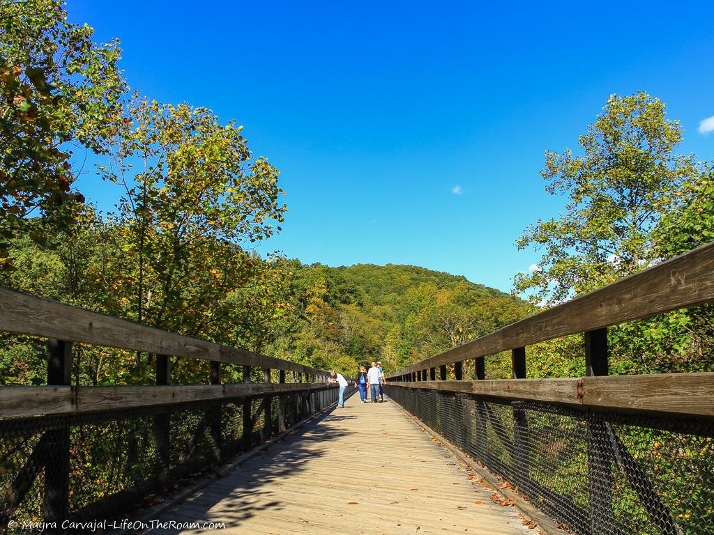 A pedestrian bridge in a state park