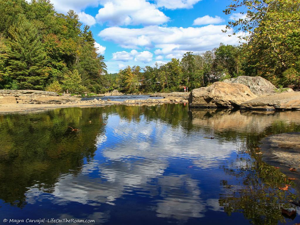 A calm pond with trees and sky reflecting on the water