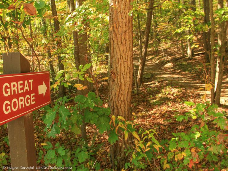 6 Unmissable Hiking Trails and Falls for an Exciting Day in Ohiopyle ...