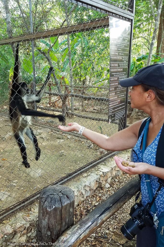 Mayra feeding a monkey in an animal sanctuary